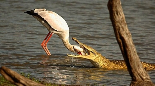 搭讪